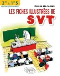vignette
